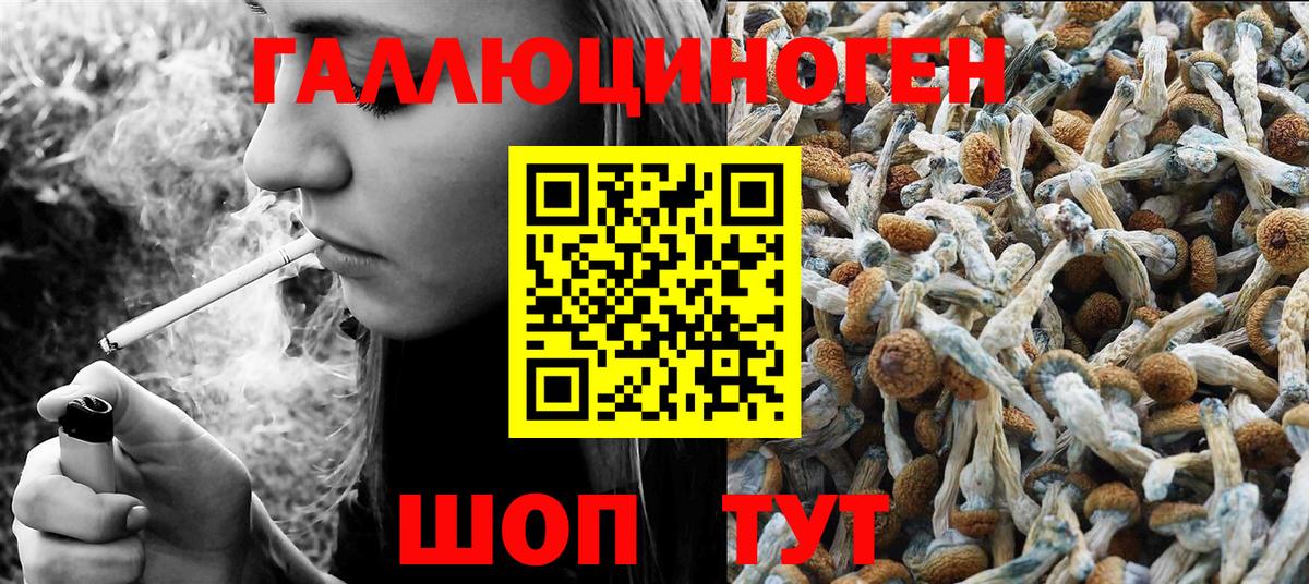 Псилоцибиновые грибы Cubensis Ревда