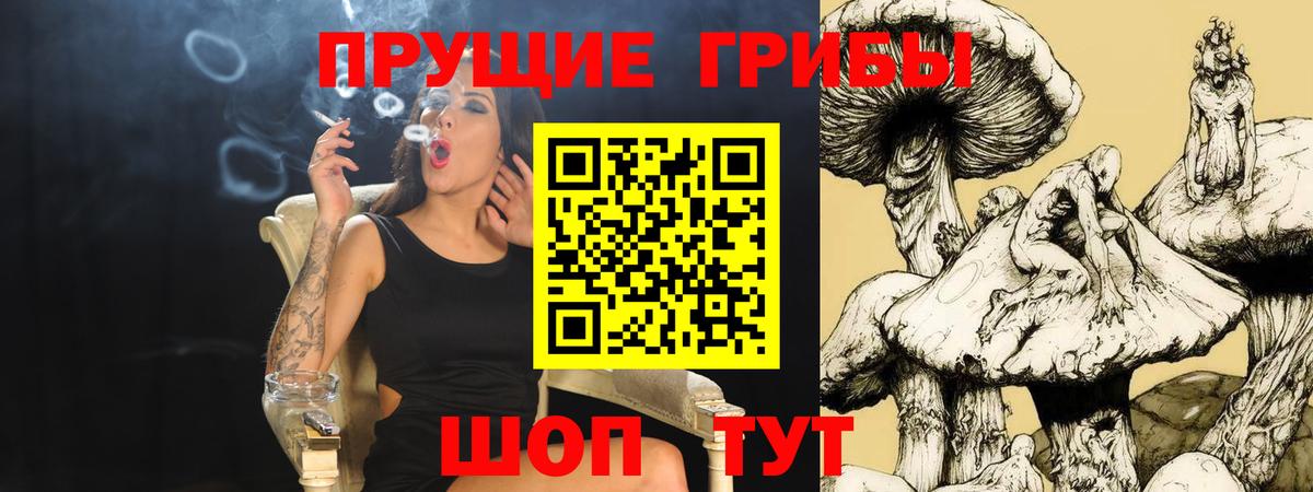 Псилоцибиновые грибы GOLDEN TEACHER  Галлюциногенные грибы MAGIC MUSHROOMS  что такое   Ревда  Вход с VPN 